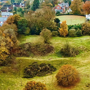 Ellesmere Castle</a><br>Sum awarded £7,164